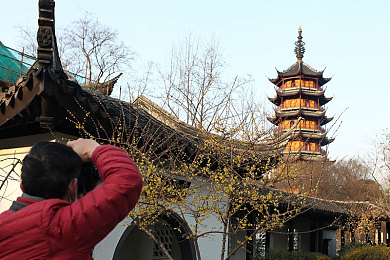 色七七视频：奇幻冒险之旅：揭秘《色七七》独特游戏魅力，探索神秘游戏世界新体验-2