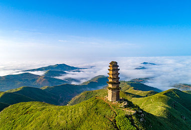 张津瑜现在干什么工作：星途转型：张津瑜的职场新纪元之旅-4