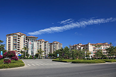 vivo黄色：色彩革命引领潮流，vivo品牌色彩策略再掀市场风云-3