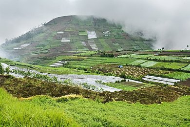 富二代抖阴APP：私密分享平台争议频发，守护隐私，共筑网络清朗空间-3