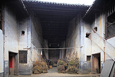免费的黄软件：揭秘热门免费娱乐神器：体验极致视觉享受与个性化推荐-3