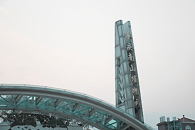 一本道色：畅游奇幻世界，解锁无限欢乐：揭秘趣味游戏新体验