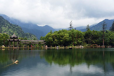两年半色板网站：色彩之旅：探索设计灵感，传承视觉魅力-4