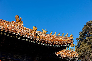 红桃视频成人免费无码：网络伦理与法规边界：揭秘“免费无码”成人视频平台的监管困境-4