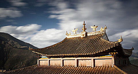 水野朝阳电影：梦幻光影，心灵之旅，沉浸水野朝阳电影世界-1