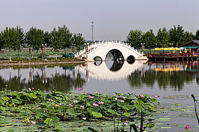 8X8X8：科技八维探险，未来无限可能之旅-3