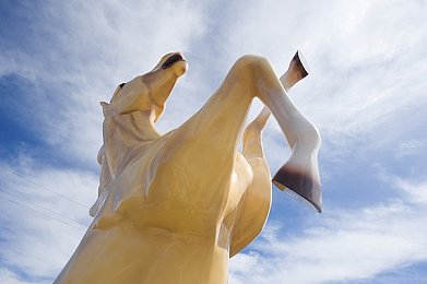 ass鲜嫩pics：网络奇观解码：视觉盛宴与道德考量的冲突之旅-3