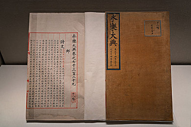 gogogo视频免费观看：数字客厅，免费影视盛宴，新视界启航-2