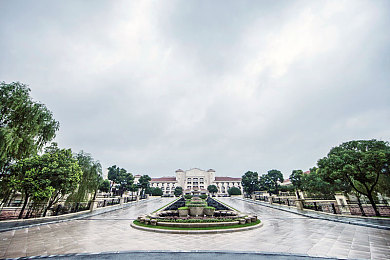 麻豆网页端：游戏盛宴升级！麻豆网页全新改版，玩家体验再攀高峰-3