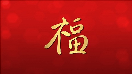 王伟忠带梦莹二次回老家祭祖：乡愁祭祖之旅，传承百年家族情-2