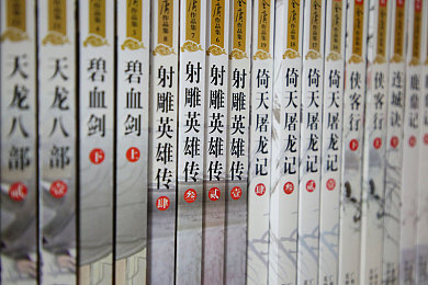 韩国电影野花：惊悚迷宫：探索人性深渊的艺术之旅-2