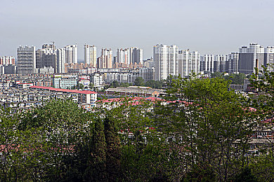 草莓站长统计记录：揭秘游戏市场新风向，数据洞察助力行业未来-4