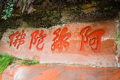 小仙女直播：逃离现实幻境，快乐直播之旅-2