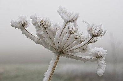 国产成人剧情AV：探索视听新境界：揭秘国产成人剧情片的独特魅力与观赏指南-5