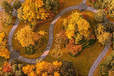 打扑牌两个人剧烈运动视频软件：扑克健身乐翻天，趣味挑战身体极限-4