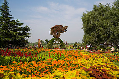YY6080青苹果影院：畅享电影盛宴，打造私人影院乐土-5