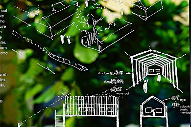 爱豆新陈可心之草原精灵：“草原精灵陈可心：用音乐传递草原魅力，新生代偶像的追梦之旅”-3