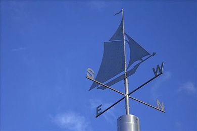 成年人的色：色彩斑斓心世界：解码现代审美变迁的多元色彩之旅-2