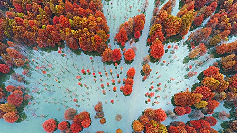 水管工传说全cg解锁方法：解锁奇幻世界，畅享视觉盛宴：《水管工传说》全CG攻略大揭秘-3