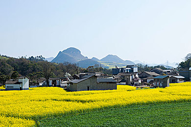 中文字幕 明里紬 被讨厌：热门动画角色明里紬字幕引争议，网友热议翻译失真影响人气下滑-3
