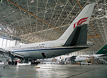 色色视频：净化网络空间，共筑清朗网络家园-4