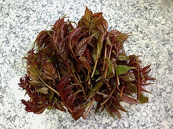 色情软件下载安装：合法游戏助力，揭秘辅助工具安全使用攻略-4