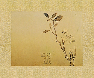 一起差差差很痛app软件大全：挑战成长之路，体验“痛”中乐趣的极限游戏攻略-4