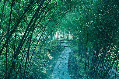 打扑克视频免费看软件：扑克盛宴，指尖启航——解锁免费扑克视频新天地-3