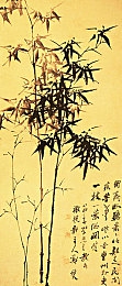 卖的学生一般去哪里找：揭秘网络奇才聚集地：探寻“卖的学生”成长传奇-3