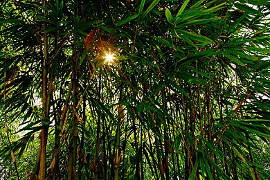 h游：探索“h游”魅力：精彩剧情与视觉盛宴揭示游戏价值与意义-4