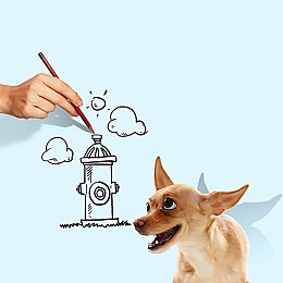 黄wwww：探秘游戏新境界：揭秘“黄wwww”的独特魅力与玩家热评-2