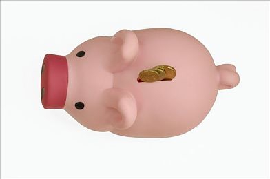 爱杏直播：直播界新宠崛起，百万粉丝见证爱杏直播的璀璨辉煌