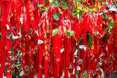 好湿 好紧 好多水c：农业节水新突破，揭秘“好湿好紧好多水”技术助力水资源保护与农业发展-3