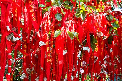 扒衣触摸的色情游戏：奇幻异世界冒险，触摸解锁角色互动，体验独特扒衣游戏魅力-3