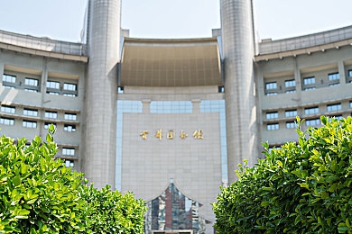 黑人大黑吊：探寻自然之美：解码非洲雄风，多元文化交融之旅-5